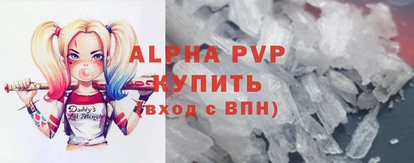 гашик Гусь-Хрустальный
