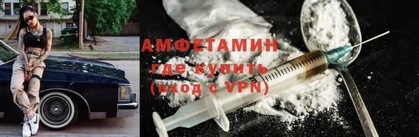 гашик Гусь-Хрустальный