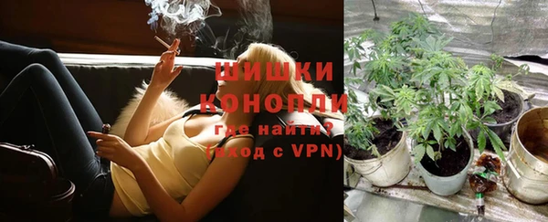 гашик Гусь-Хрустальный