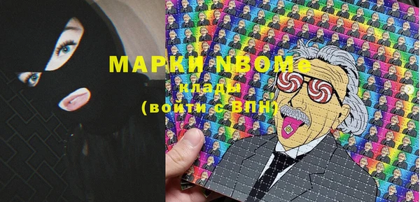 гашик Гусь-Хрустальный