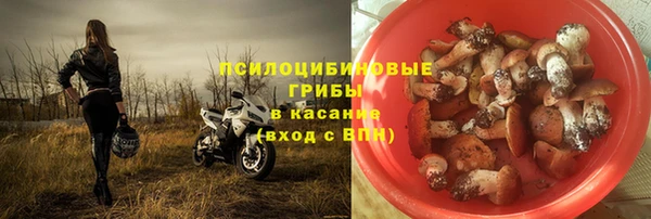 ALPHA-PVP Гусиноозёрск
